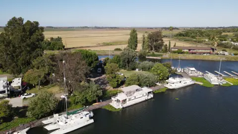 Brother's Island Marina — boats, marina, campground